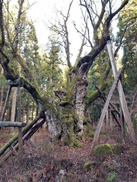 ���Ĥ���ȥ�11