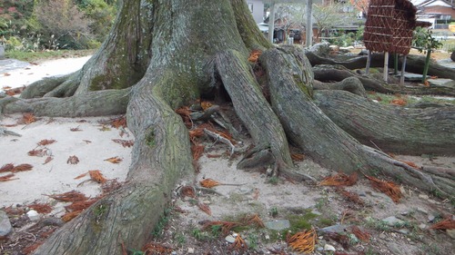 �ƻ����������