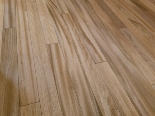 ʼ������̵������ʪ�ե�����󥰣���