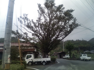 ð�Ȥ��ҡ���