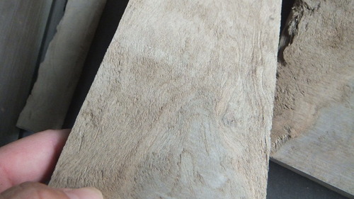 �������ء���