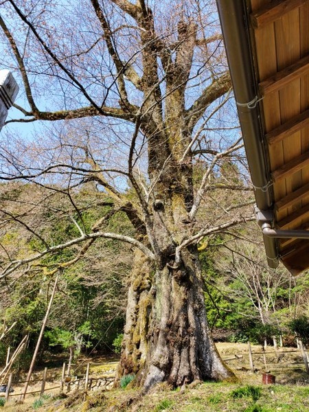 ���奶���� 3