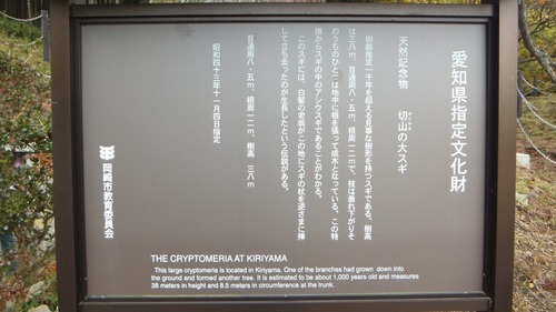 �ڻ����祹������