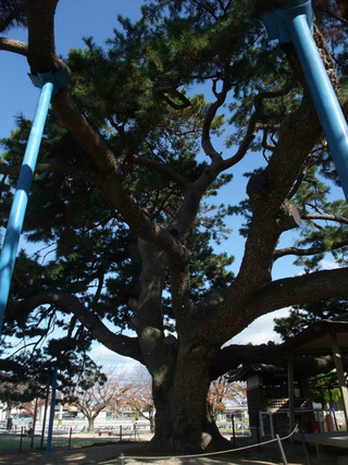 ��¢¿������