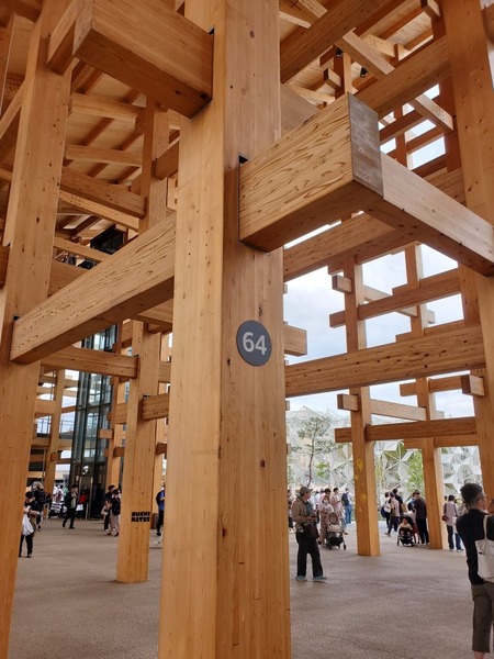 ��������5