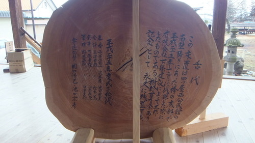 �ͥĲ������Ҥ�Ȳ�Υ��䥭��