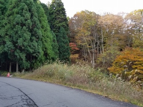 ʼ�˸������ ����祫�ĥ� 12