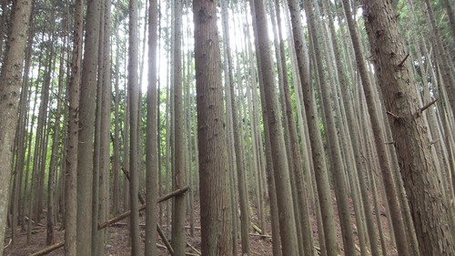 �����Τ룲