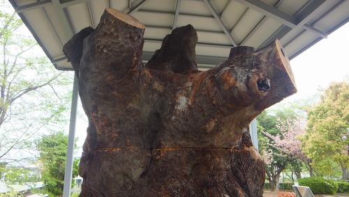 ��������������