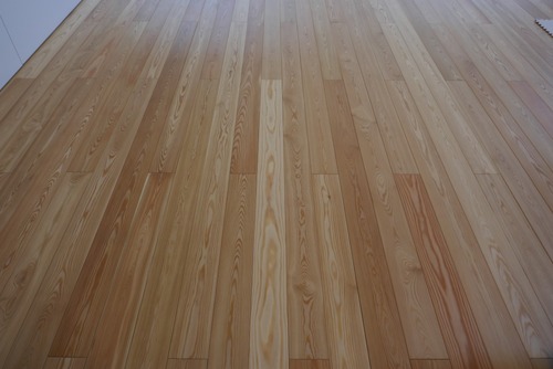 ԥ奢顼̵ʪե󥰡ץߥ졼 룲