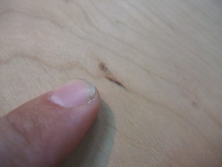 �֥�å������꡼����̵������ʪ����������