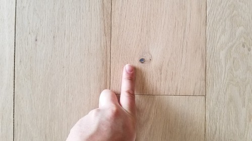 ÈÔÈÄ¥Õ¥í¡¼¥ê¥ó¥° S3¥·¥ê¡¼¥º N¥°¥ì¡¼¥É£±