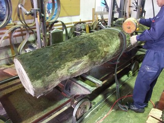 ����������ࡡ��