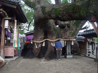 ·°³¸¾À¡¡£´