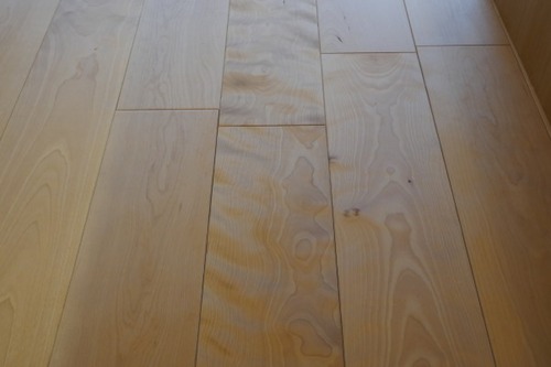 С(С̵ĤʤV¥ե󥰻ܹ 9