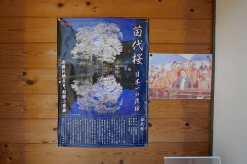 ���奶���� 8