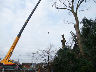 ½ÐÄ¥¤Ë¤Æ£³