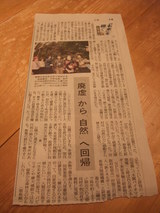 ����������������ε���