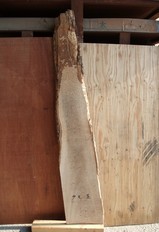 ¥¿¥â¶ÌÌÝÇöÈļªÉÕ¤ÈÄ