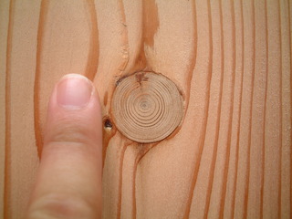 ¿ùÈÄÌÜ30mm̵¹¤¥Õ¥í¡¼¥ê¥ó¥°£¶