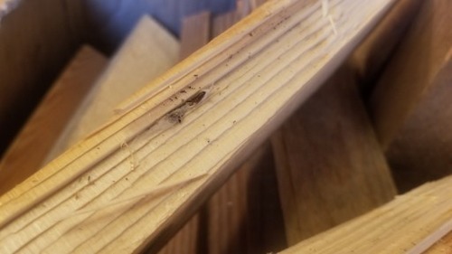 �椫�顢��Τ��ʤ���������