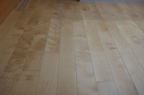 С(С̵ĤʤV¥ե󥰻ܹ 1