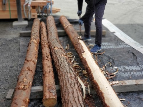 ÈôÂͤδÝÂÀ Èé¤à¤£·