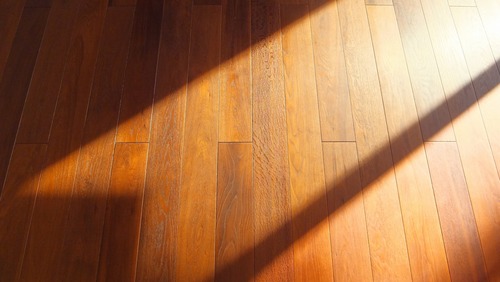 ¥¨¥¤¥ó¥·¥§¥ó¥È¥ª¡¼¥¯Éý¹Ìµ¹¤°ìËçʪ¥Õ¥í¡¼¥ê¥ó¥°´°À®¡¡£µ