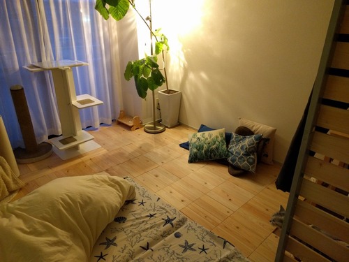 shikiyuka �ҥΥ��ܹ���