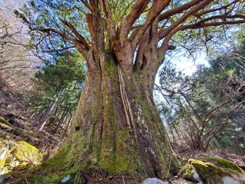 Ê¿´ä²È¤Î¥¤¥Á¥¤ 4