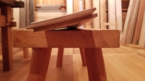 ʼ������̵������ʪ�ե�����󥰡���