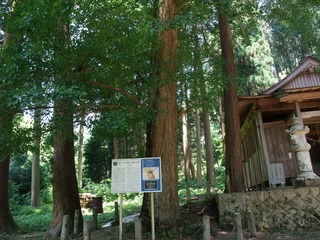 ���ϥĥ������祦����