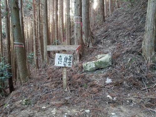 ³Þ·Á¿À¼Ò¤ÎÂ祹¥®¡ÊÉ×ÉØ¥¹¥®¡Ë£±