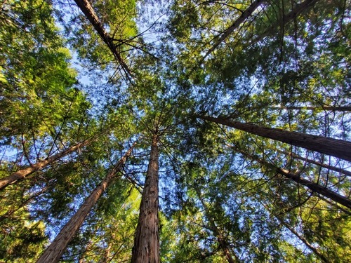 ¥Ò¥Î¥¿Í¹©ÎÓ