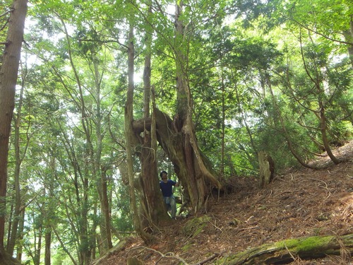 ²ÖÀÔ¤ÎÅ·Á³Éú¾òÂæ¿ù 13