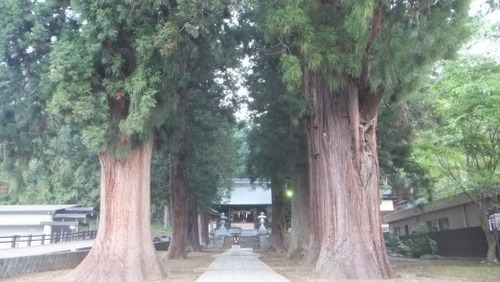 �ϸ����ֿ��Ҥμ��ܿ�����