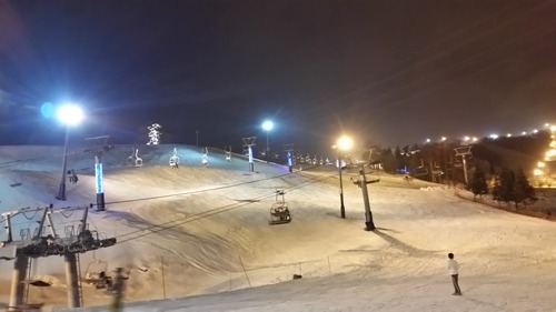 yukigahoshii������