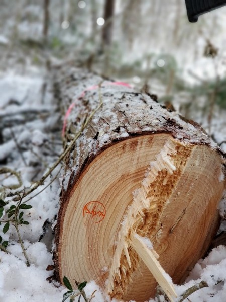 ��׼���־�����Ƥ롢�����͡���������2025-6