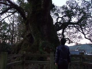 ³÷À¸¤ÎÂ祯¥¹¡¡£µ