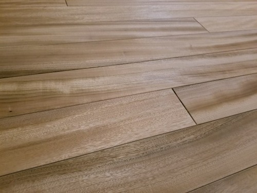 ʼ������̵������ʪ�ե�����󥰣���