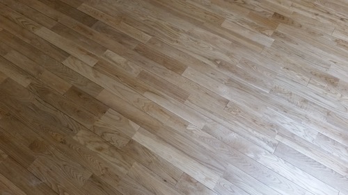 ¥«¥¹¥¯¥ª¡¼¥¯¾²ÃÈS¡¡£¶