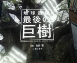 ���ҡ��Ǹ�ε��