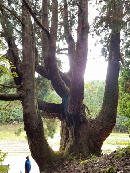 ʼ�˸�ī��� �羭������