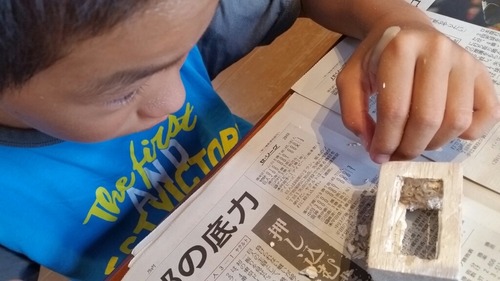 ²Æ¤Î¹©ºî£²