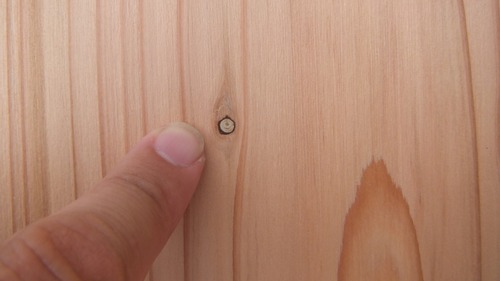 ¹â¼ùÎ𡡸Ŵõ¿ùÉ⤤ê°ìËçʪ¥Õ¥í¡¼¥ê¥ó¥° 30mm-3