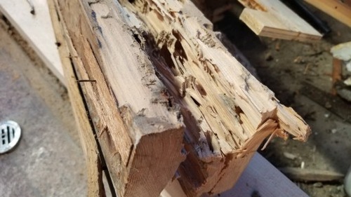 �򥢥�ο���