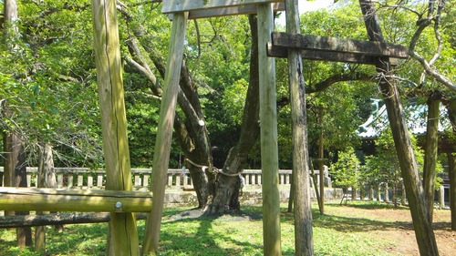 ������Ҥζ��ںԡ���