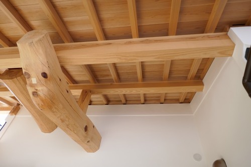 ÅÁÅý¤ÎÌÚÁȤߤȤÏ