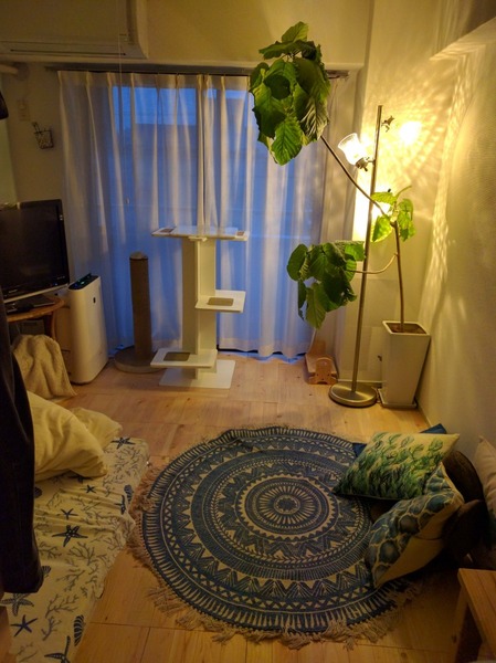 shikiyuka �ҥΥ��ܹ���