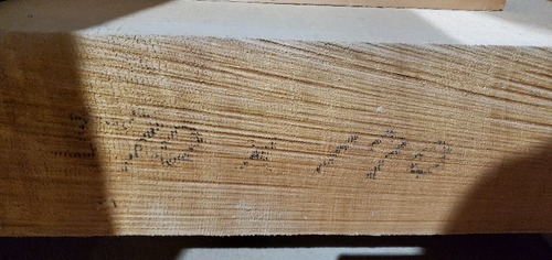 ���ץ롼��570�С���